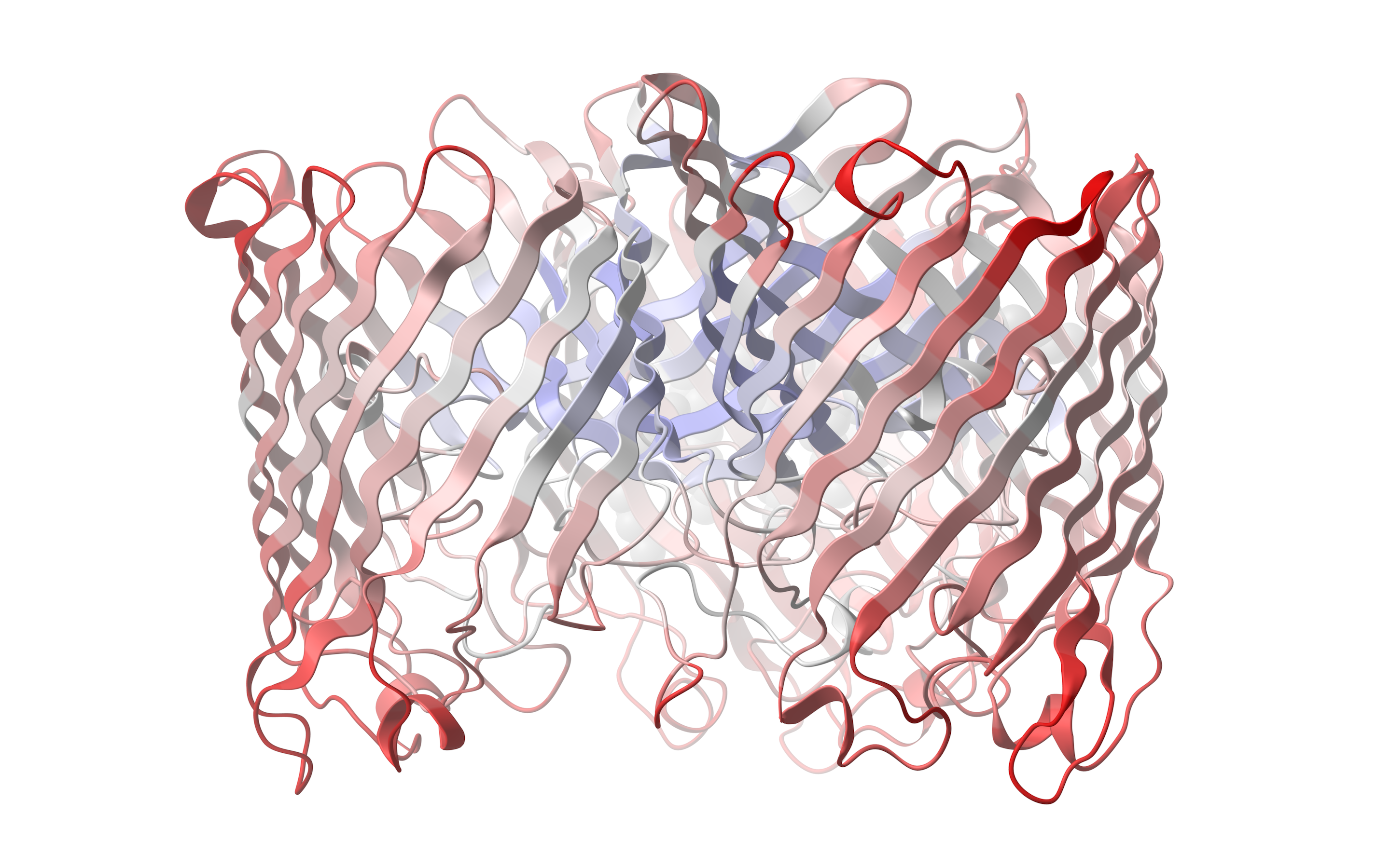 Protein Structure