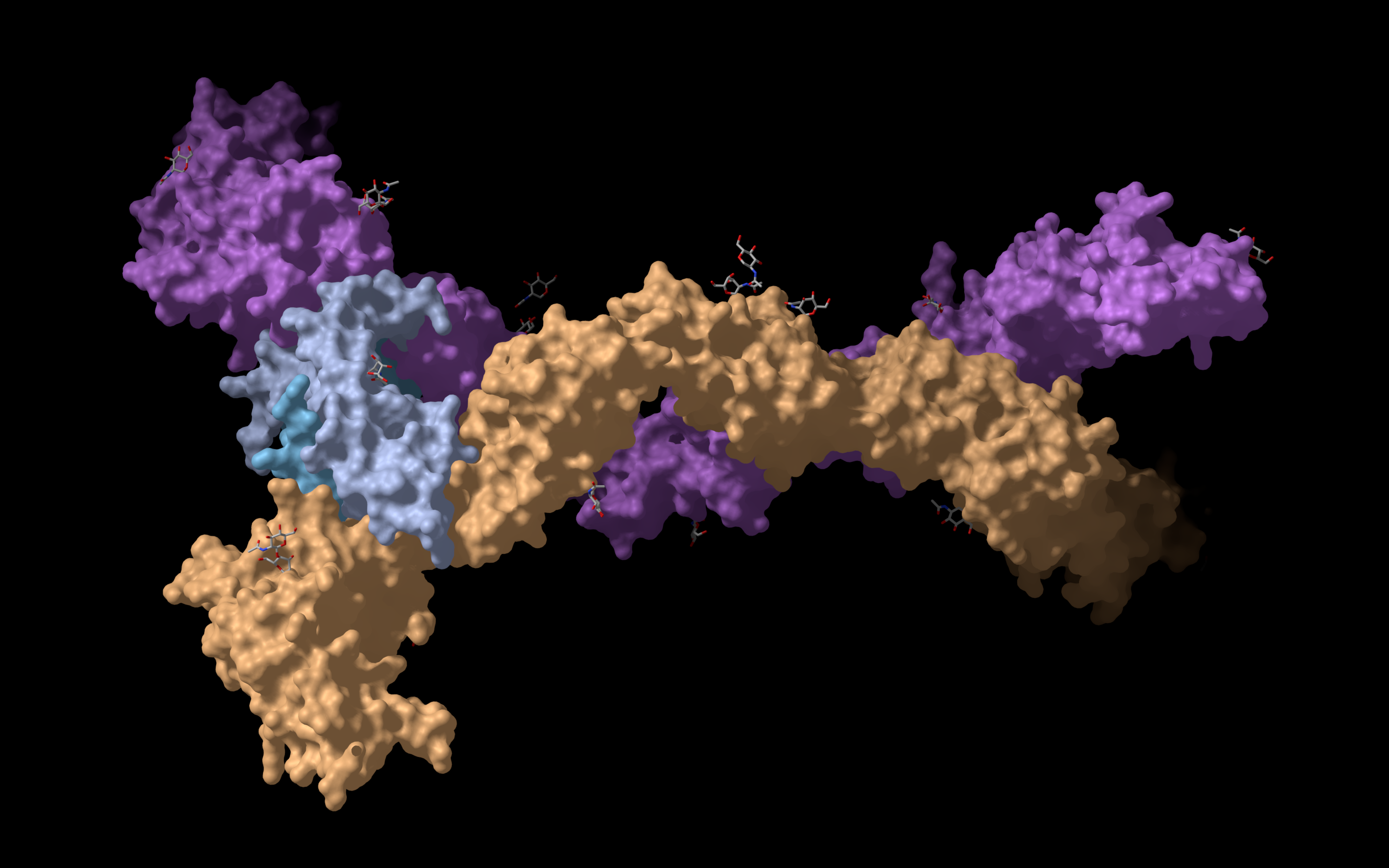 Protein Structure