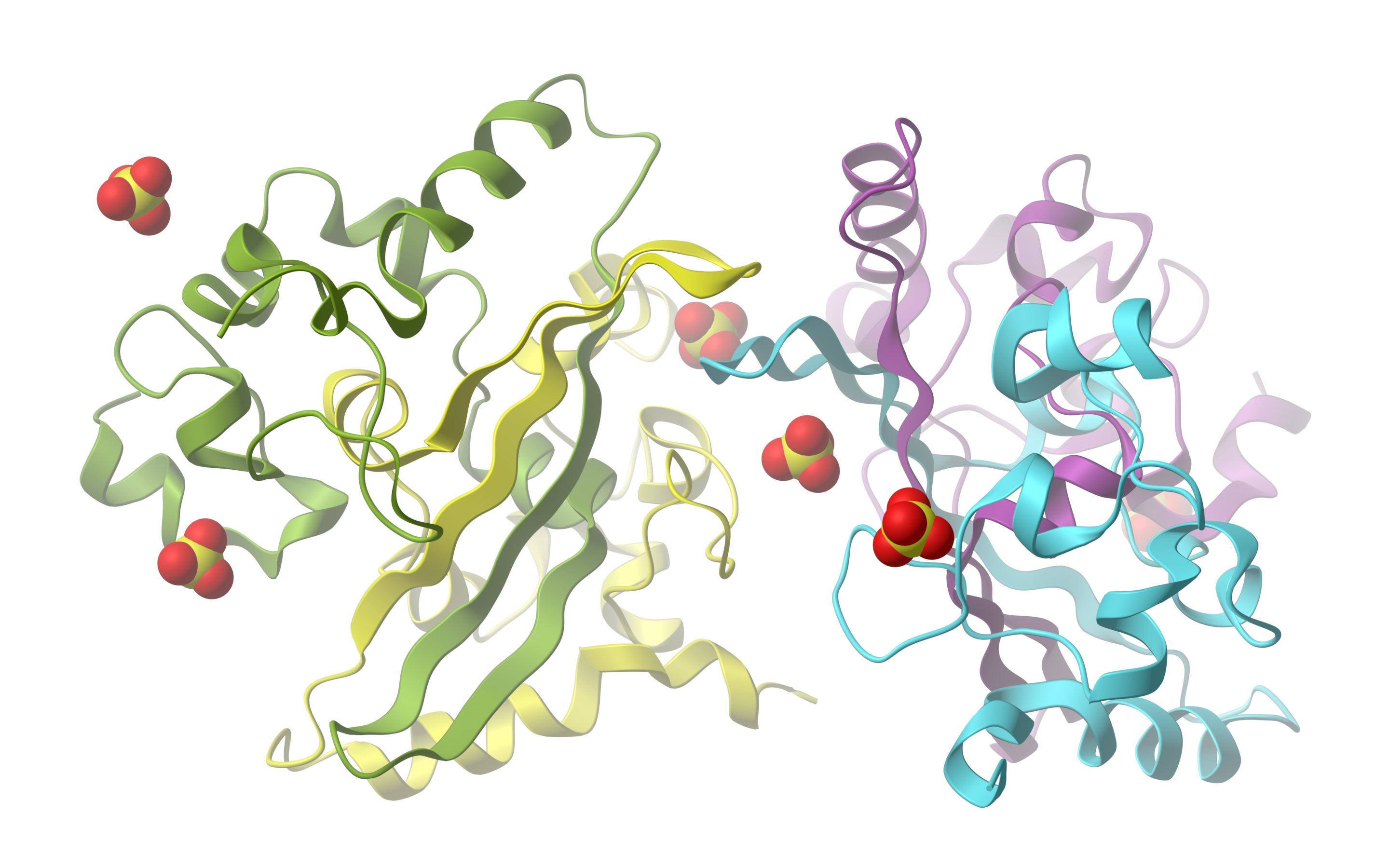 Protein Structure